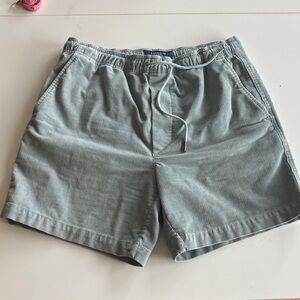 American Eagle Outfitters Light Blue Corduroy Drawstring Shorts